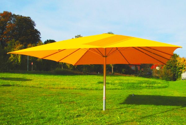 Parasol Facil 6x6 dans un prés